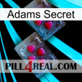 Adams Secret 14